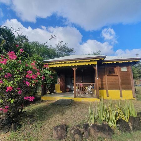 Cottage La Pointe Marine Deshaies Dış mekan fotoğraf