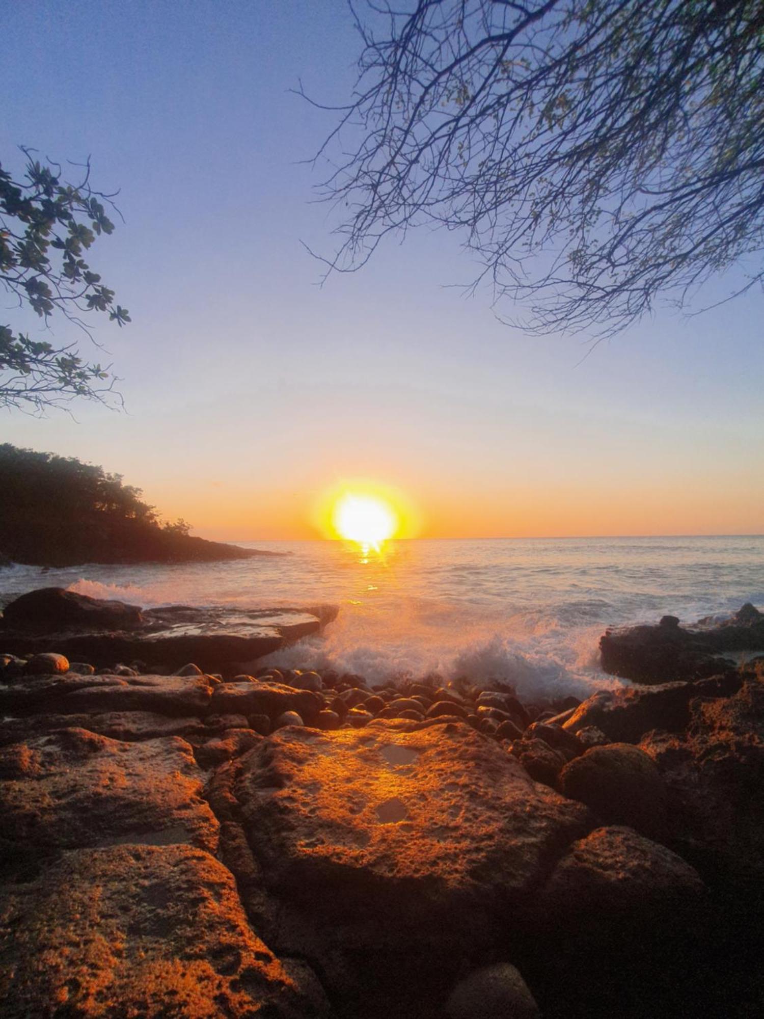 Cottage La Pointe Marine Deshaies Dış mekan fotoğraf