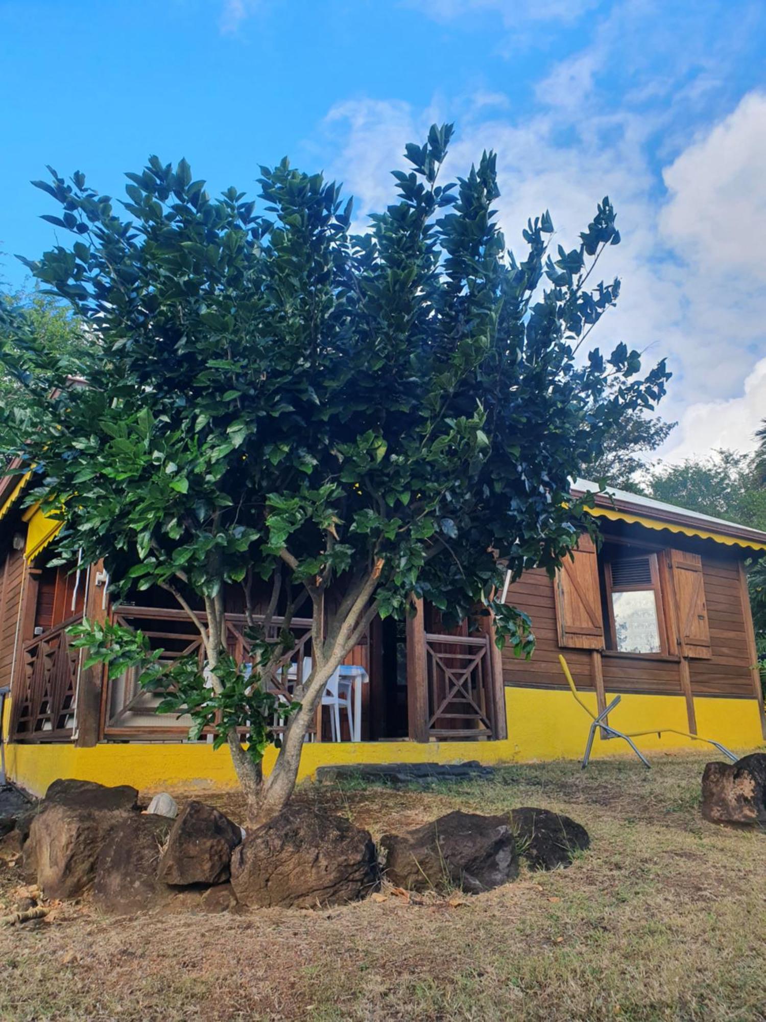 Cottage La Pointe Marine Deshaies Dış mekan fotoğraf