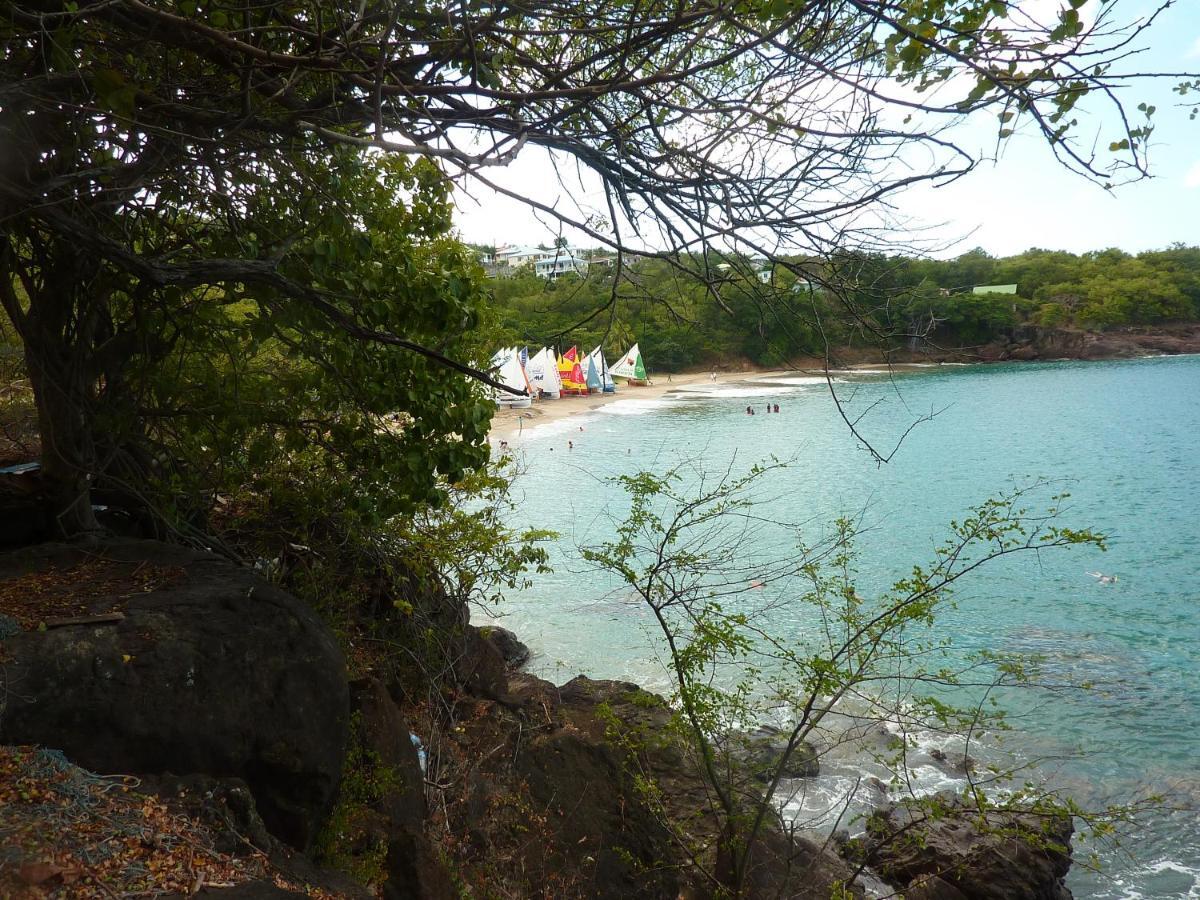 Cottage La Pointe Marine Deshaies Dış mekan fotoğraf